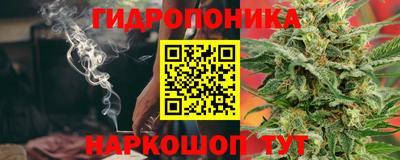 шишки Кунгур
